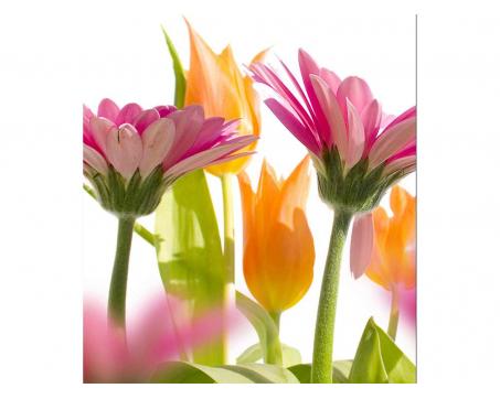Vliesová fototapeta Jarní květiny 225 x 250 cm