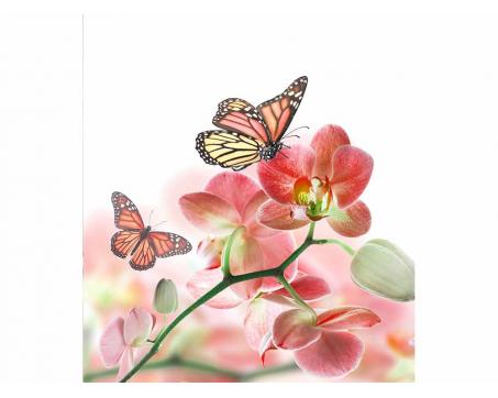Vliesová fototapeta Motýli a orchideje 225 x 250 cm