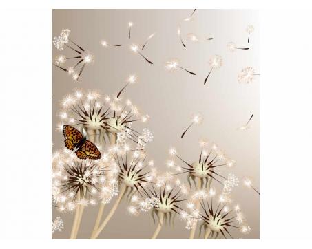 Vliesová fototapeta Pampeliška a motýl 225 x 250 cm