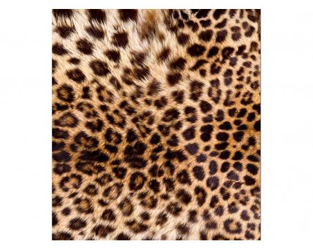 Vliesová fototapeta Leopardí kůže 225 x 250 cm