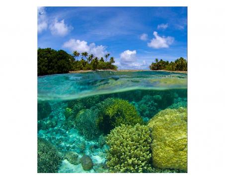 Vliesová fototapeta Korálový útes 225 x 250 cm