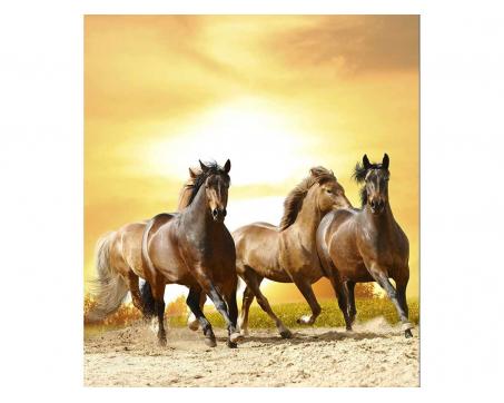 Vliesová fototapeta Koně při západu slunce 225 x 250 cm