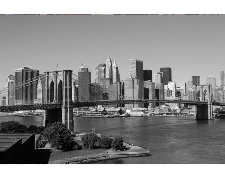 Samolepicí vliesová fototapeta Manhattan v šedé barvě 375 x 250 cm