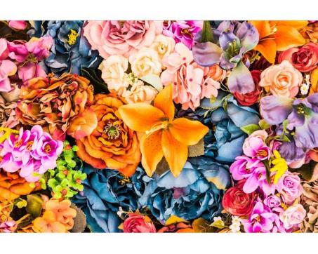 Samolepicí vliesová fototapeta Sušené květiny 375 x 250 cm