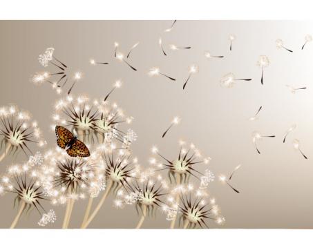 Samolepicí vliesová fototapeta Pampeliška a motýl 375 x 250 cm
