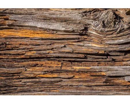 Samolepicí vliesová fototapeta Kůra stromu 375 x 250 cm