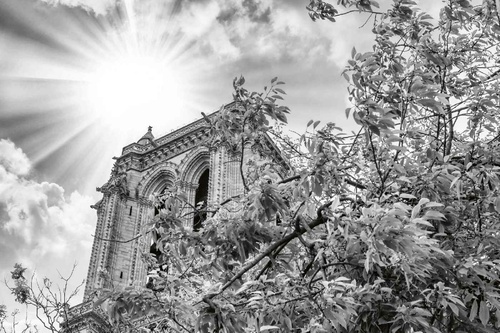 Vliesová fototapeta Notre Dame detaily 375 x 250 cm