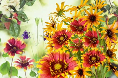 Vliesová fototapeta Květiny v zahradě 375 x 250 cm