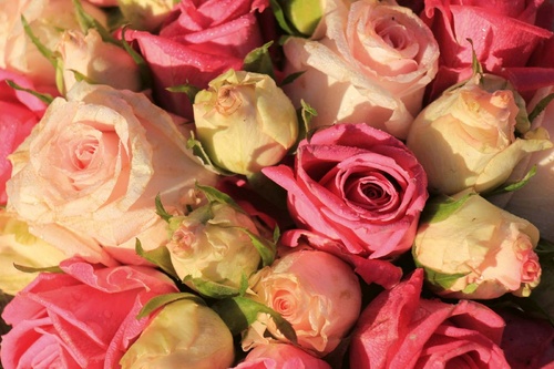 Vliesová fototapeta Svatební kytice růží 375 x 250 cm