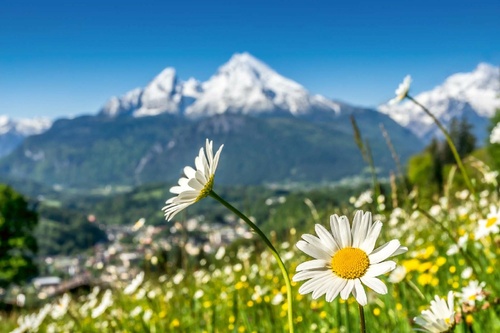 Vliesová fototapeta Umělecký pohled na Alpy 375 x 250 cm