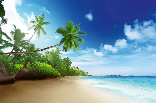 Vliesová fototapeta Seychelská pláž 375 x 250 cm