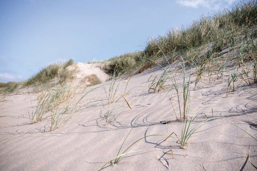 Vliesová fototapeta Písečná duna 375 x 250 cm