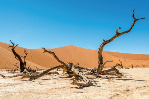 Vliesová fototapeta Suchá poušť 375 x 250 cm