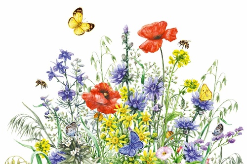 Vliesová fototapeta Malba - Divoké květy 375 x 250 cm