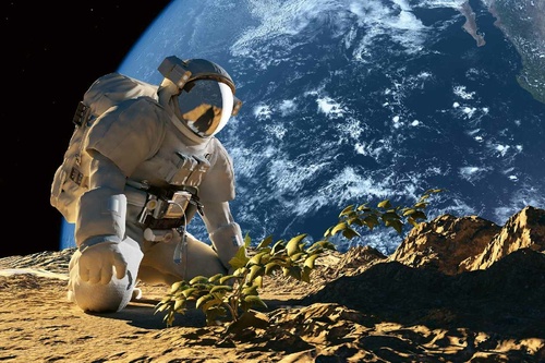 Vliesová fototapeta Astronaut 375 x 250 cm