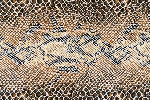 Vliesová fototapeta Hadí kůže 375 x 250 cm