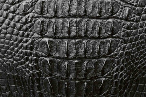 Vliesová fototapeta Tmavá krokodýlí kůže 375 x 250 cm