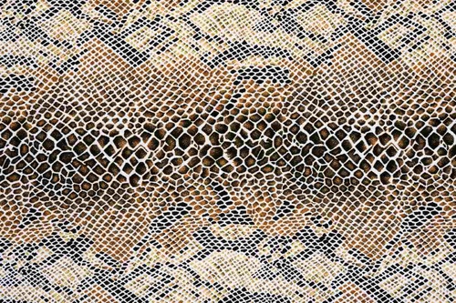 Vliesová fototapeta Hadí textura 375 x 250 cm