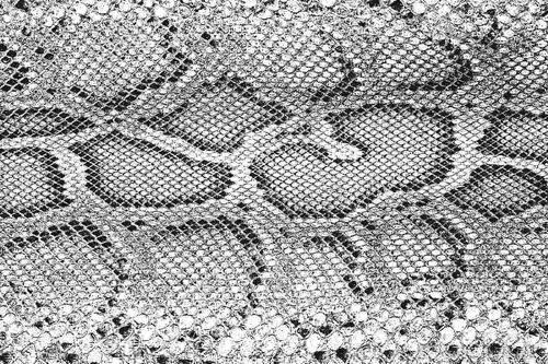 Vliesová fototapeta Textura krokodýlí kůže 375 x 250 cm