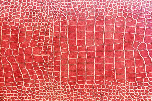 Vliesová fototapeta Textura červené krokodýlí kůže 375 x 250 cm