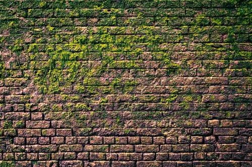Vliesová fototapeta Cihlová zeď s mechem 375 x 250 cm