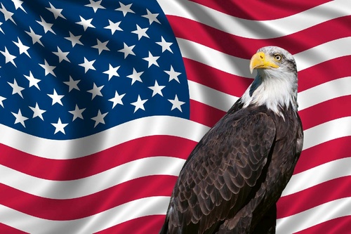 Vliesová fototapeta Vlastenecká vlajka USA 375 x 250 cm