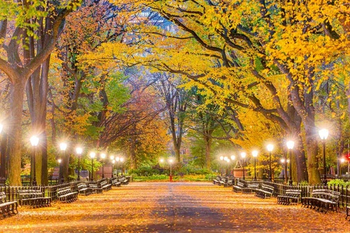 Vliesová fototapeta Central Park na podzim 375 x 250 cm