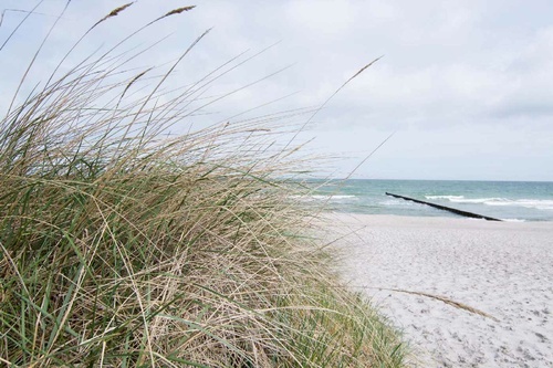 Vliesová fototapeta Vlnolam na pláži 375 x 250 cm