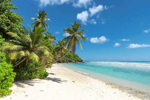 Vliesová fototapeta Palmy na tropickém ostrově 375 x 250 cm