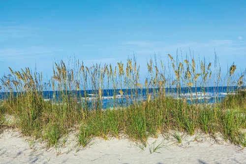 Vliesová fototapeta Tráva na pláži 375 x 250 cm