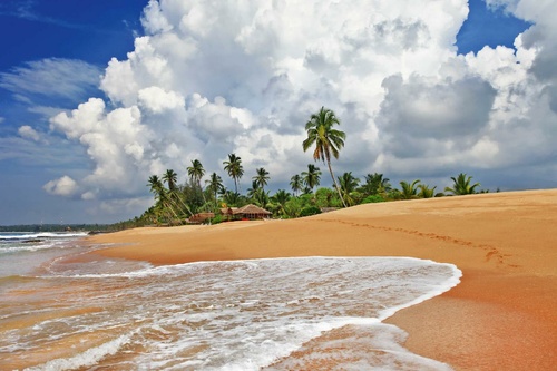 Vliesová fototapeta Divoká pláž Srí Lanky 375 x 250 cm