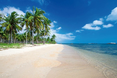 Vliesová fototapeta Vysoké palmy na pláži 375 x 250 cm