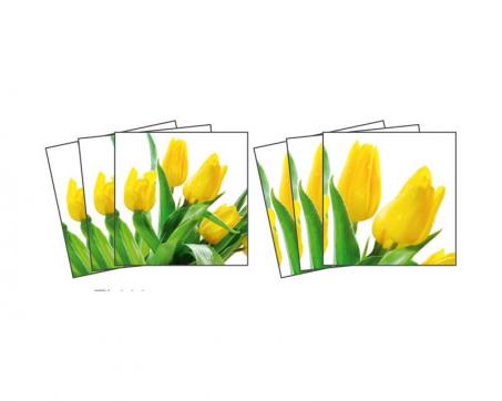 TI 008 Dekorace - samolepky na kachličky - Tulipány 15 x 15 cm