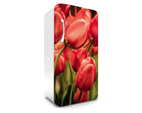 FR-120-012 Samolepicí fototapety na lednici - Červené tulipány 65 x 120 cm