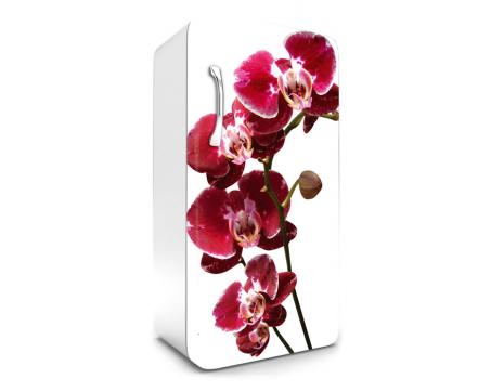 FR-120-014 Samolepicí fototapety na lednici - Orchidej 65 x 120 cm