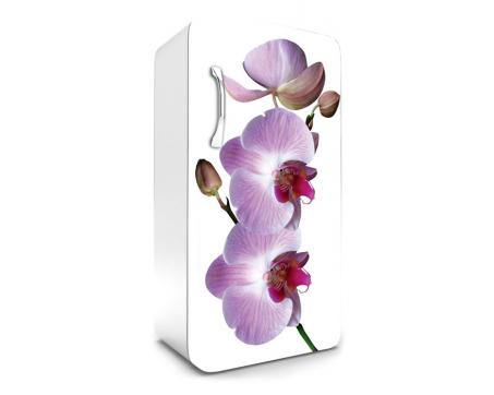 FR-120-024 Samolepicí fototapety na lednici - Růžová orchidej 65 x 120 cm