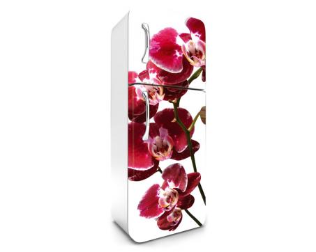 FR-180-014 Samolepicí fototapety na lednici - Orchidej 65 x 180 cm