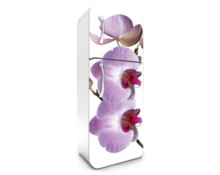 FR-180-024 Samolepicí fototapety na lednici - Růžová orchidej 65 x 180 cm