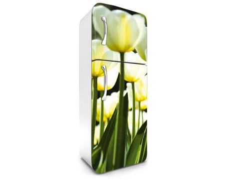 FR-180-026 Samolepicí fototapety na lednici - Bílé tulipány 65 x 180 cm