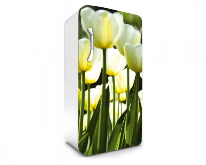 FR-120-026 Samolepicí fototapety na lednici - Bílé tulipány 65 x 120 cm