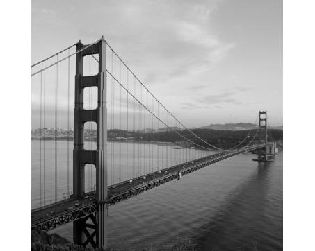 L-300 Vliesové fototapety na zeď Golden Gate černobílý - 220 x 220 cm