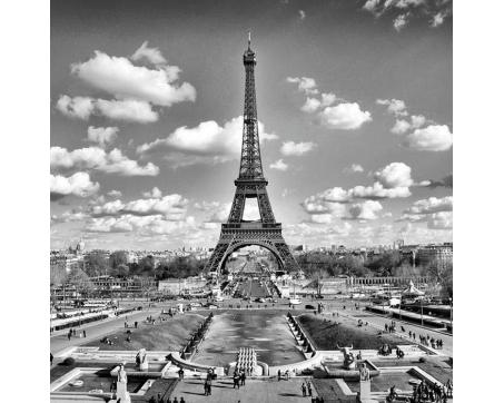 L-303 Vliesové fototapety na zeď Paříž šedá - 220 x 220 cm