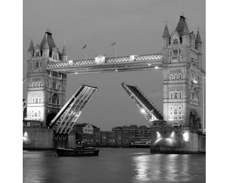 L-306 Vliesové fototapety na zeď Tower Bridge šedý - 220 x 220 cm