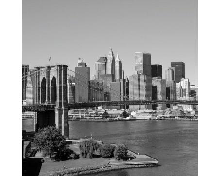 L-309 Vliesové fototapety na zeď Manhattan šedý - 220 x 220 cm