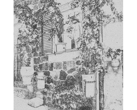 L-318 Vliesové fototapety na zeď Pouliční zahrada černobílá malba - 220 x 220 cm
