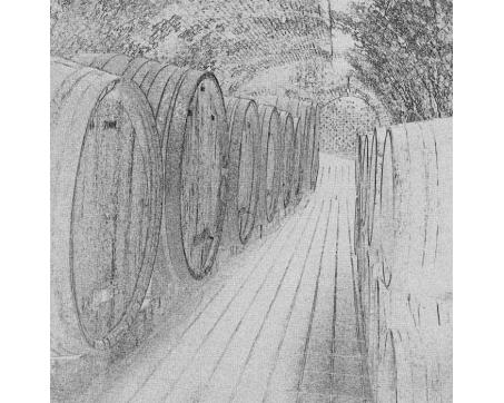 L-328 Vliesové fototapety na zeď Sudy s vínem černobílá kresba - 220 x 220 cm