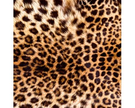 L-566 Vliesové fototapety na zeď Leopardí kůže - 220 x 220 cm