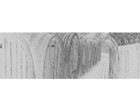 M-310 Vliesové fototapety na zeď Sudy s vínem černobílá malba - 330 x 110 cm
