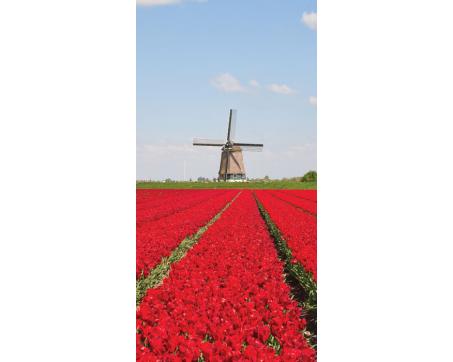 S-161 Vliesové fototapety na zeď Tulipány a větrné mlýny - 110 x 220 cm