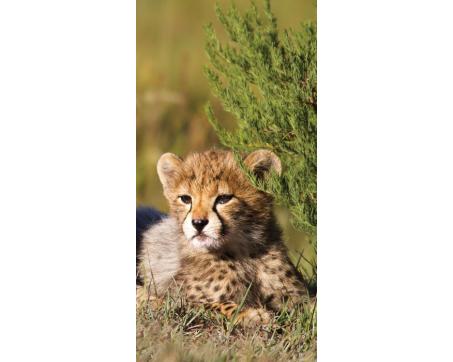 S-174 Vliesové fototapety na zeď Gepard v trávě - 110 x 220 cm